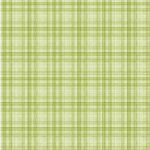 Retreat Yourself - Wellness Plaid - Kiwi