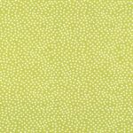 Garden Pindot - Fern