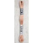 DMC Cotton Á Broder Embroidery Thread - #16, 754 (107)
