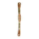 DMC Mouliné Spécial Stranded Cotton - 0105 - Variegated Tan/Brown