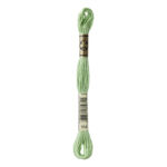 DMC Mouliné Spécial Stranded Cotton - 0164 - Pistachio Green
