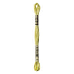DMC Mouliné Spécial Stranded Cotton - 0165 - Pale Moss Green
