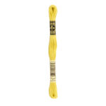 DMC Mouliné Spécial Stranded Cotton - 0017 - Limonite