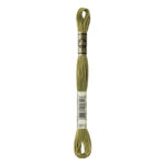 DMC Mouliné Spécial Stranded Cotton - 3012 - Marsh Green