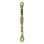DMC Mouliné Spécial Stranded Cotton - 3013 - Resin Green