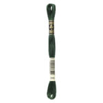 DMC Mouliné Spécial Stranded Cotton - 0319 - Shadow Green
