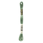 DMC Mouliné Spécial Stranded Cotton - 0320 - Fern Green