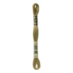 DMC Mouliné Spécial Stranded Cotton - 0371 - Green Plains