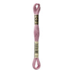 DMC Mouliné Spécial Stranded Cotton - 3727 - Lichee Mauve