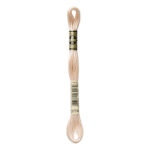 DMC Mouliné Spécial Stranded Cotton - 3774 - Pale Desert Sand