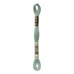DMC Mouliné Spécial Stranded Cotton - 3817 - Polar Tree Green