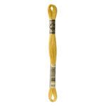 DMC Mouliné Spécial Stranded Cotton - 3821 - Straw Yellow