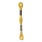 DMC Mouliné Spécial Stranded Cotton - 3822 - Light Straw Yellow