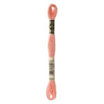 DMC Mouliné Spécial Stranded Cotton - 3824 - Light Apricot