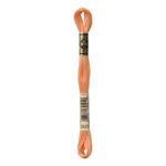 DMC Mouliné Spécial Stranded Cotton - 3825 - Mango Orange