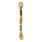 DMC Mouliné Spécial Stranded Cotton - 3827 - Beech Brown