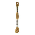DMC Mouliné Spécial Stranded Cotton - 3828 - Oaktree Brown
