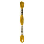 DMC Mouliné Spécial Stranded Cotton - 3852 - Mustard Yellow
