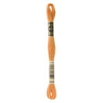 DMC Mouliné Spécial Stranded Cotton - 3854 - Spicy Gold