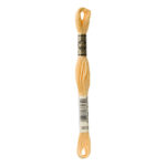 DMC Mouliné Spécial Stranded Cotton - 3855 - Autumn Gold