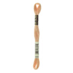 DMC Mouliné Spécial Stranded Cotton - 3856 - Pale Beechwood