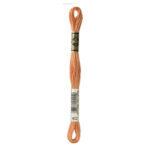 DMC Mouliné Spécial Stranded Cotton - 0402 - Pottery Brown