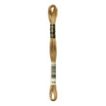 DMC Mouliné Spécial Stranded Cotton - 0436 - Teddy Brown