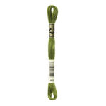 DMC Mouliné Spécial Stranded Cotton - 0469 - Dark Moss Green