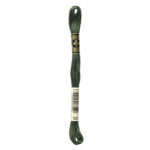 DMC Mouliné Spécial Stranded Cotton - 0520 - Dark Fern Green