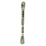 DMC Mouliné Spécial Stranded Cotton - 0522 - Trellis Green