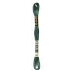 DMC Mouliné Spécial Stranded Cotton - 0561 - Cypress Tree Green