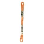 DMC Mouliné Spécial Stranded Cotton - 0722 - Orange Spice