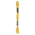 DMC Mouliné Spécial Stranded Cotton - 0725 - Sunlight Yellow