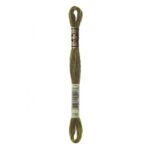 DMC Mouliné Spécial Stranded Cotton - 0730 - Khaki Green