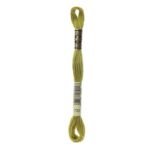 DMC Mouliné Spécial Stranded Cotton - 0733 - Golden Green