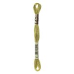 DMC Mouliné Spécial Stranded Cotton - 0734 - Light Olive Green