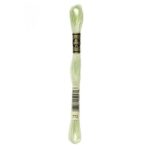 DMC Mouliné Spécial Stranded Cotton - 0772 - Celery Green