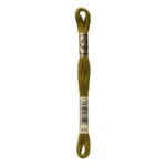 DMC Mouliné Spécial Stranded Cotton - 0831 - Green Bronze