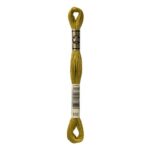 DMC Mouliné Spécial Stranded Cotton - 0832 - Light Green Bronze