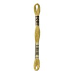 DMC Mouliné Spécial Stranded Cotton - 0834 - Light Brass