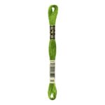 DMC Mouliné Spécial Stranded Cotton - 0906 - Apple Green