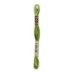 DMC Mouliné Spécial Stranded Cotton - 0092 - Variegated Avocado