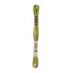 DMC Mouliné Spécial Stranded Cotton - 0094 - Variegated Khaki Green