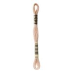 DMC Mouliné Spécial Stranded Cotton - 0950 - Beige