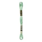 DMC Mouliné Spécial Stranded Cotton - 0954 - Field Green