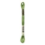 DMC Mouliné Spécial Stranded Cotton - 0989 - Fennel Green