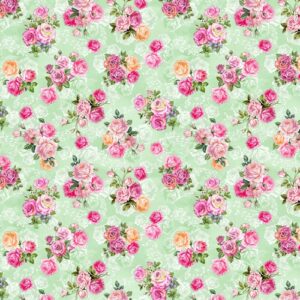 Spring Songs Flower Fairies