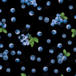 Blueberry Hill - Sweet Blueberries - Black