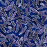 Gilded Feathers - Cobalt Blue