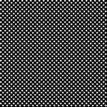 Safari Fun - Random Dots - Black/White